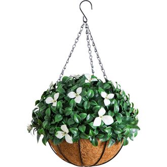 Nearly Natural 18-in UV Resistant Artificial Gardenia Hanging Basket in Green/white at Nordstrom
