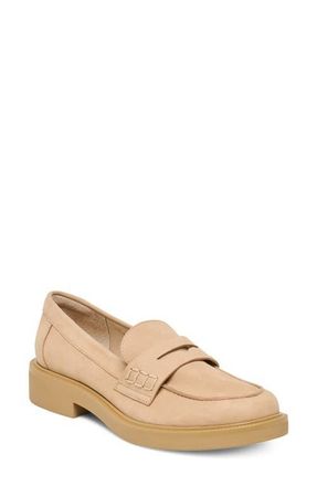 Dolce Vita Tiggy Penny Loafer in Sand Nubuck at Nordstrom, Size 8.5