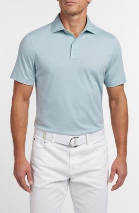 David Donahue Connery Cotton Polo in Beach Glass at Nordstrom, Size Xx-Large