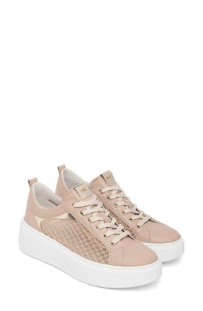 Nero Giardini Mesh Platform Sneaker in Rose at Nordstrom, Size 10Us