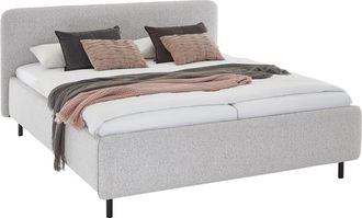 Meise.Möbel Polsterbett