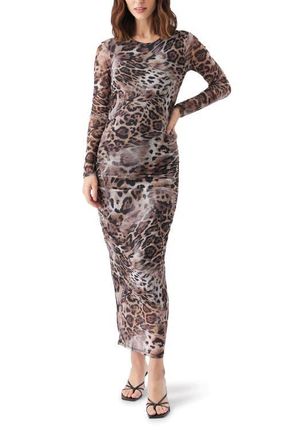 Ripe Savannah Mesh Dress in Latte at Nordstrom, Size X-Large Au