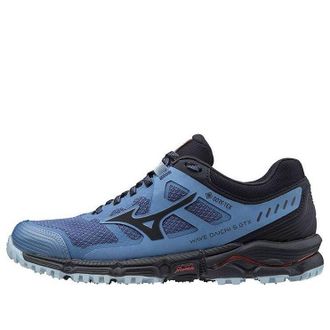 Mizuno (WMNS) Mizuno Wave Daichi 5 Gtx Blue Black J1GK205616