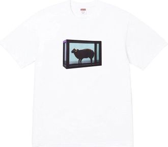 SUPREME x Damien Hirst T-Shirt White SS25T5-WHITE