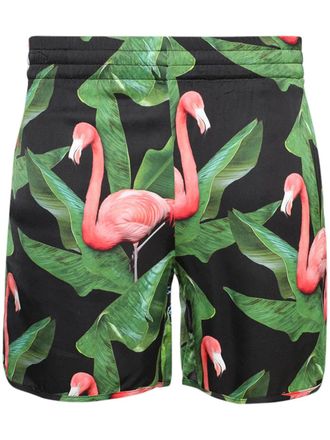 Blue Sky Inn Shorts Flamingo - Verde